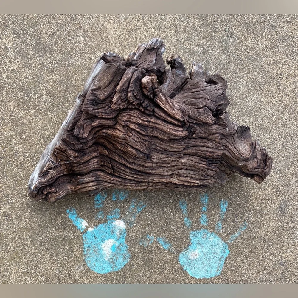Natural Wood Decorum(4 Pieces)-Crafting, Outdoors, Live Pets, Aquarium/Terrarium